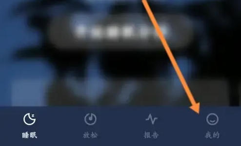 幻休图片7