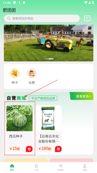 肥团团