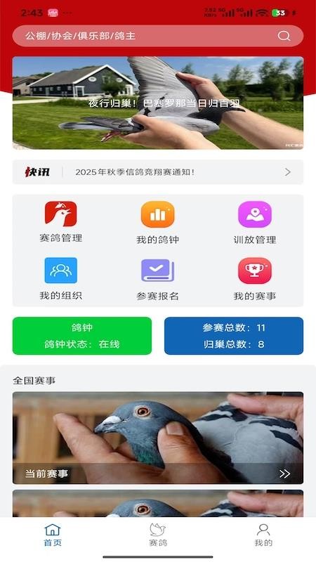 科汇赛鸽官网版