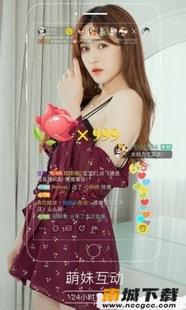 预览图2