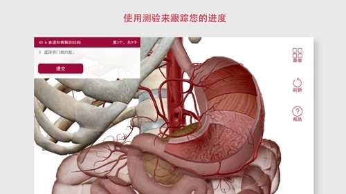 解剖和生理学安卓版 v6.2.00