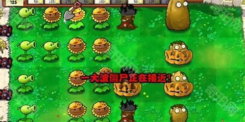 植物大战僵尸火影忍者版