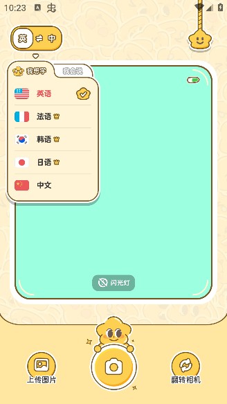 拍拍单词app