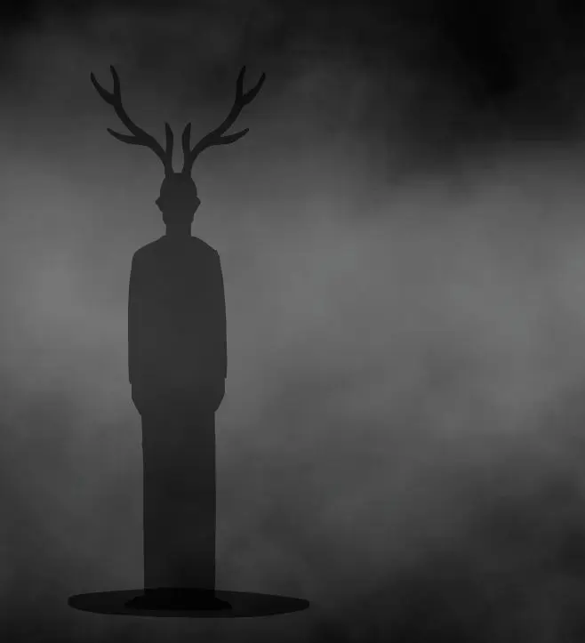 兔子先生的魔术秀