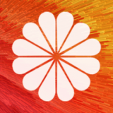 全局动态壁纸下载  v5.2.1