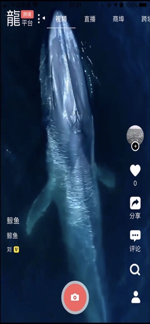 龙平台影视截图2