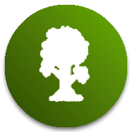 泰拉瑞亚app官方正版下载