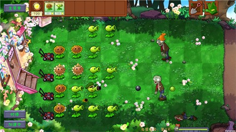 植物大战僵尸共生版正版
