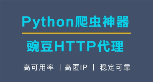 豌豆代理
