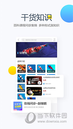 龙巅