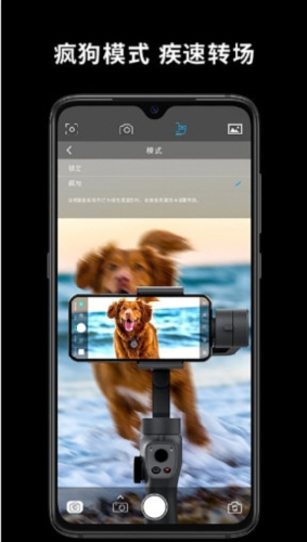 逗映capture2
