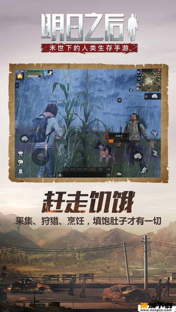 预览图3