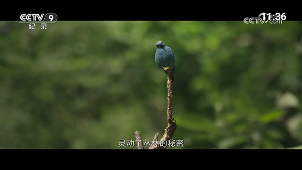 超的电视TV免费版 v250116