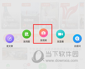 中国信鸽信息网怎么上传视频