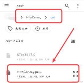 如何安装CA证书截图4