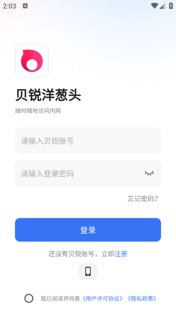 贝锐洋葱头