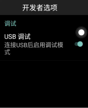 华强北开发者模式app手机版