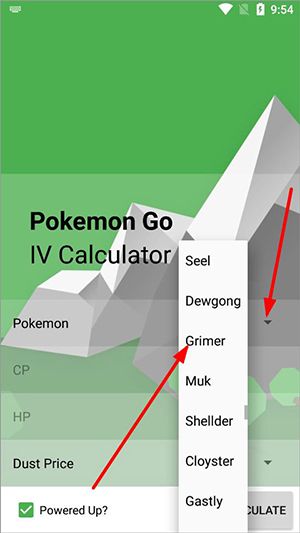 Pokemon个体值计算器图片4