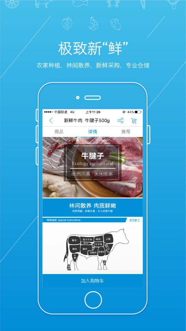 虾笨鲜生 v2.6.0