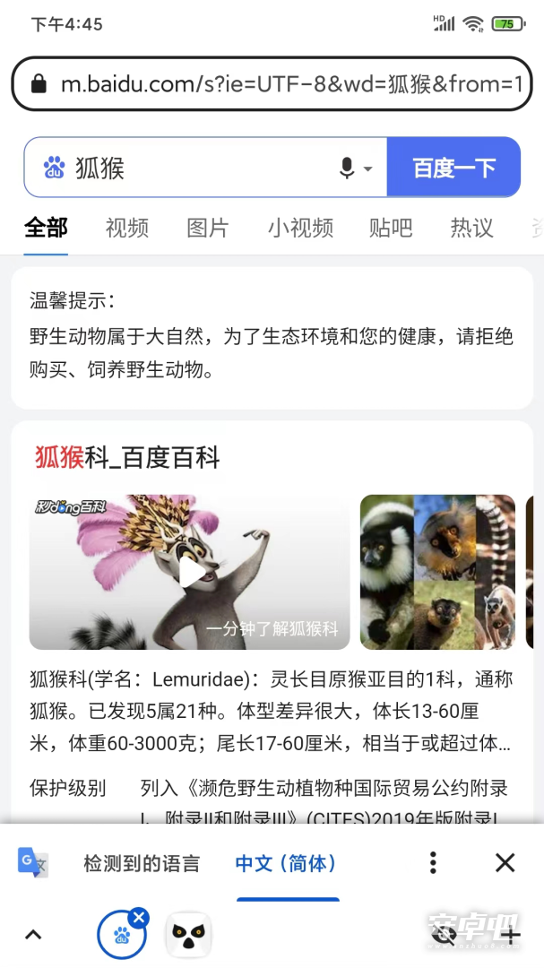 狐猴浏览器截图2