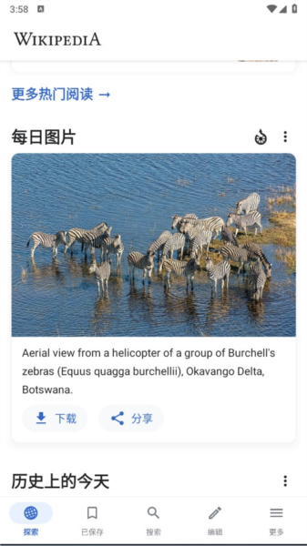 维基百科