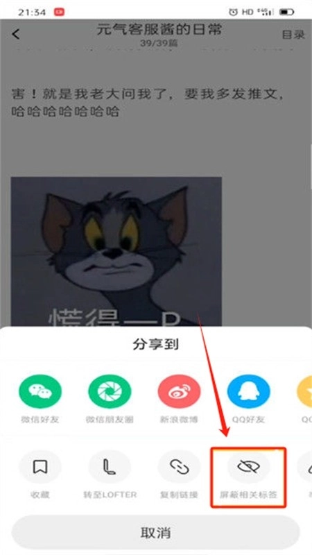 老福特lofter小说最新版2024
