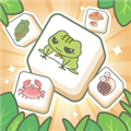 匹配大师消消乐游戏  V1.0.9下载