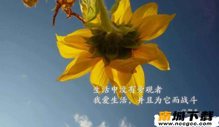 微商水印相机v5.2.55