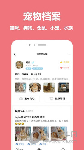 宠物王国