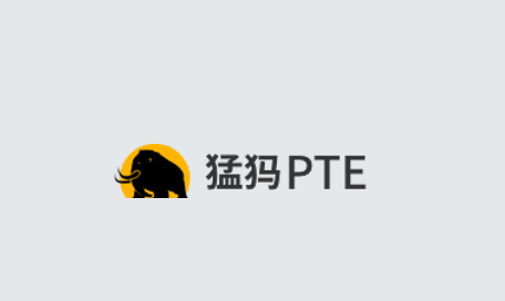 猛犸PTE app
