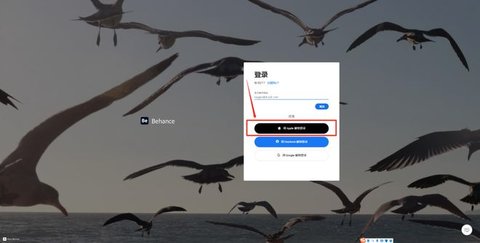 Behance