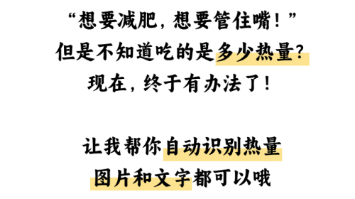 热量小助手官方免费版