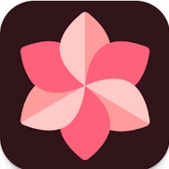 WallSpot下载 v1.6