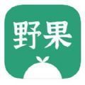 野果阅读追书  V1.5.2下载