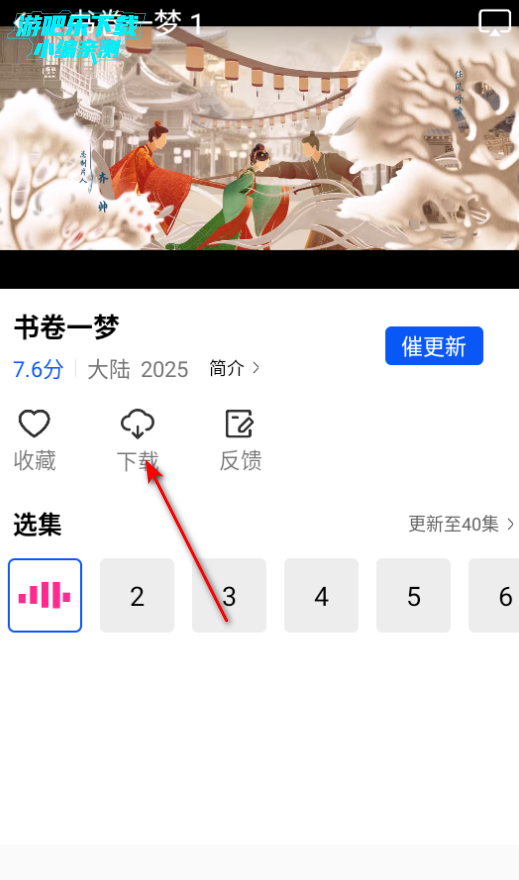惊鸿视频纯净版