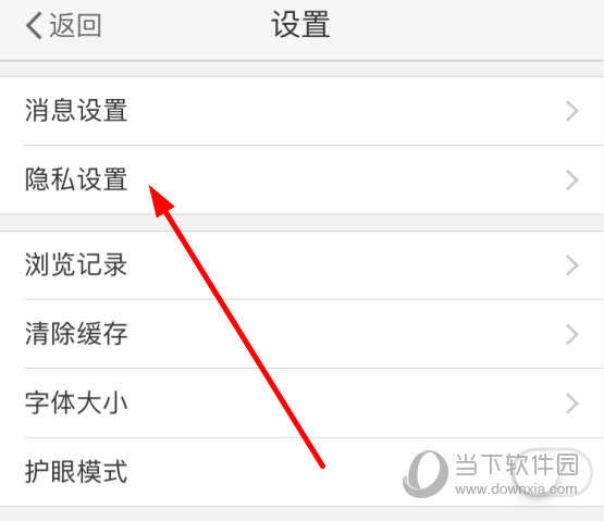 找到“隐私设置”功能