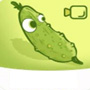 黄瓜视频app官方网在线观看app V1.8.8