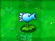 植物大战僵尸原版中文