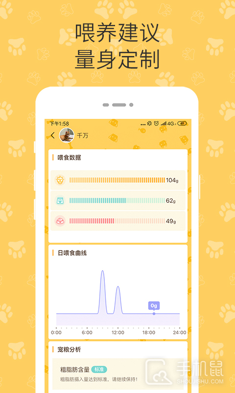 陪彼宠物 v2.0.250604