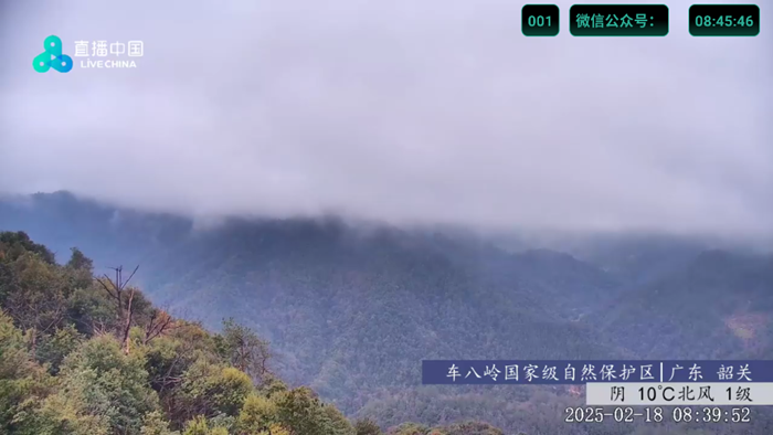 七星itv v5.2.0安卓版下载
