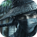 斗笠江湖游戏官方版 V16.0.7 安卓版
