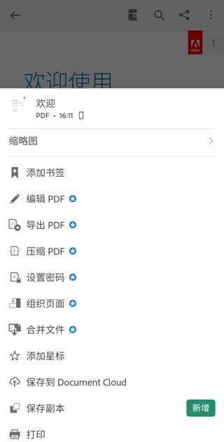 Adobe Acrobat(图4)