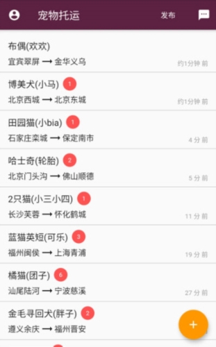 宠物托运