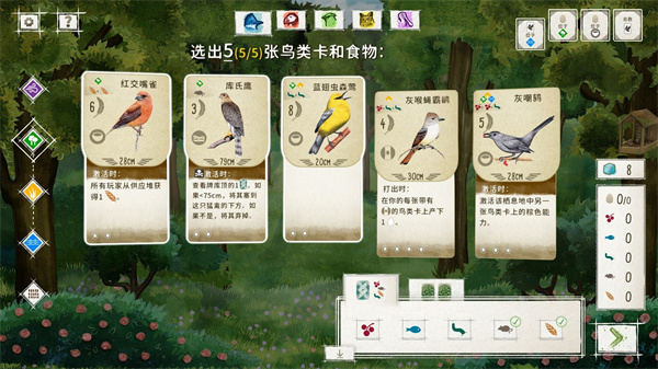 展翅翱翔桌游