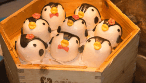 长隆旅游app19
