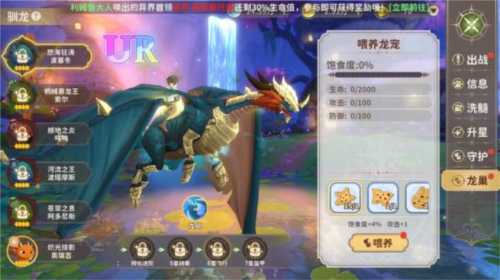 龙骑士学园10