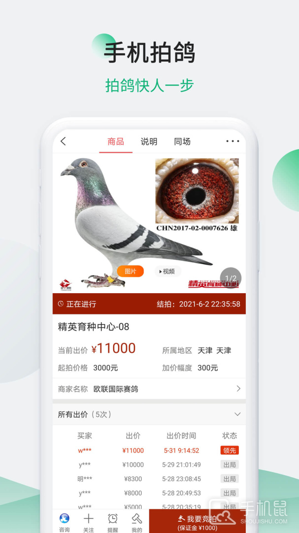 中国信鸽信息网 v20250501