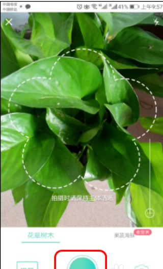 形色app2025最新版