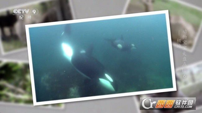 晨瑞電視TV版apk安裝包 V2.3.3最新版截圖1