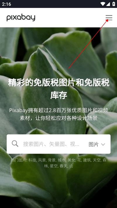 pixabay图3